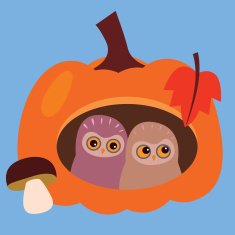 Lovely owls in pumpkin