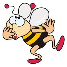 Bee N3
