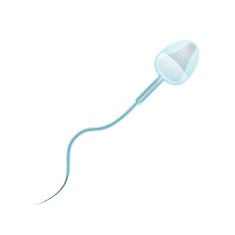 Sperm N2