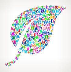 Leaf on vector family pattern Background N3