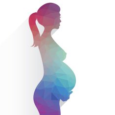 pregnant woman N9