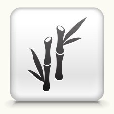 Square Button with Bamboo Plant interface icon