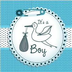Baby shower design N267