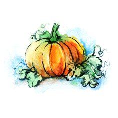 ripe orange pumpkin with green leaves