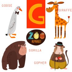 Cute zoo alphabet in vector G letter Funny cartoon animals