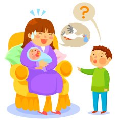 where do babies come from