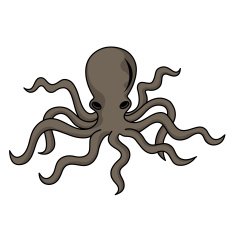 octopus N4