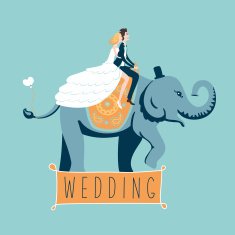 The Wedding Elephant