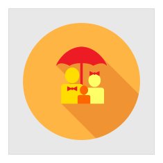 family insurance N3