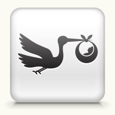 Square Button with Stork & Newborn
