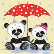 Two Pandas with umbrella