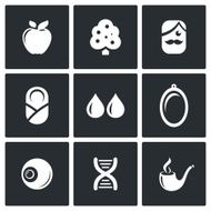 Heredity icons set Vector Illustration N2