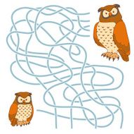 Maze game (owl family)