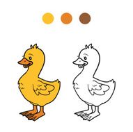 Coloring book (goose chick) N4