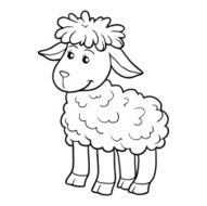 Coloring book (sheep) N6