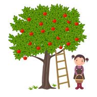 Girl picking apples