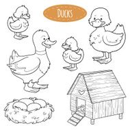 Set of cute farm animals and objects vector family ducks