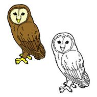 Funny Owl N3