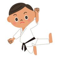 Karate judo kick