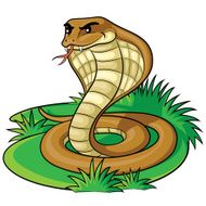 Cobra Cartoon