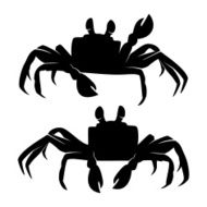 Ghost Crab Silhouettes