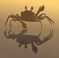 Ghost crab illustration