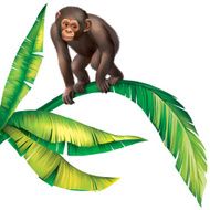 Baby Monkey Gorilla on palm tree