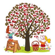 picking cherries