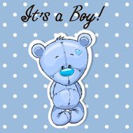 Cute Teddy boy