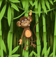Monkey N13