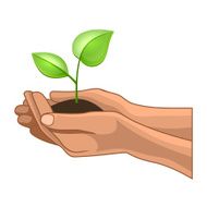 Hands and Plant on White Background Vector