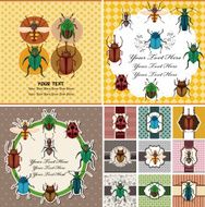 bug card N3