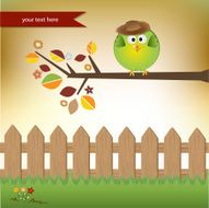 cute little boy bird N3
