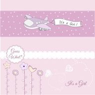 baby girl announcement card with airplane N6