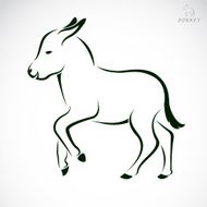 Vector image of an donkey N2
