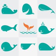Whale N4