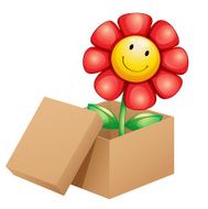 Flower inside the box