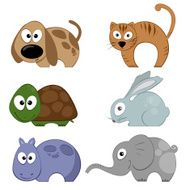 Cute Animals N5
