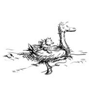 Duck with duckling