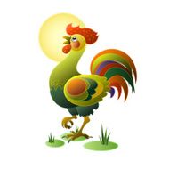 Funny cock