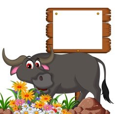 cute buffalo cartoon posing with blank board