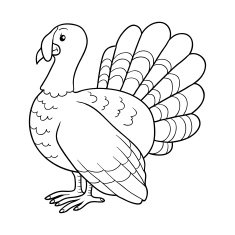 Coloring book (turkey) N2