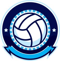 Volleyball design with stars