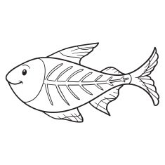 Coloring book (x-ray fish) N3