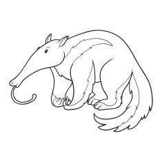 Coloring book (anteater) N3