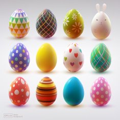Set of realistic eggs on white background N8