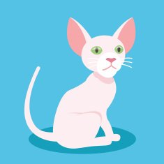 Cute sphynx cat mascot vector illustration