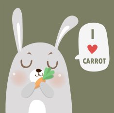 rabbit love carrot