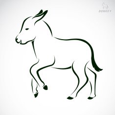 Vector image of an donkey N2