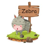 animal alphabet letter Z for zebra illustration vector N2